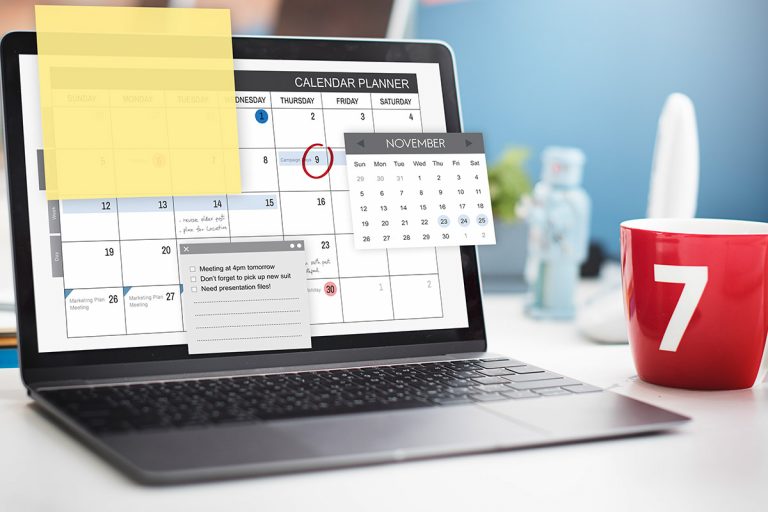 Read more about the article Praesent libro se cursus ante