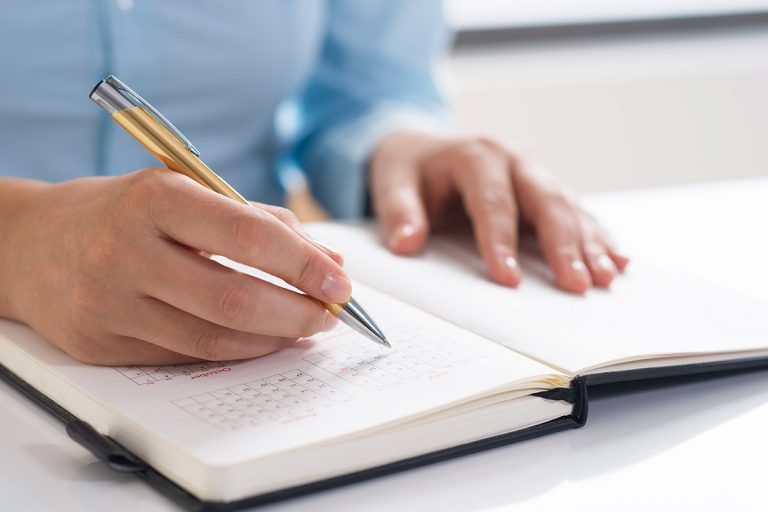 Read more about the article Tortor neque adpiscing diam